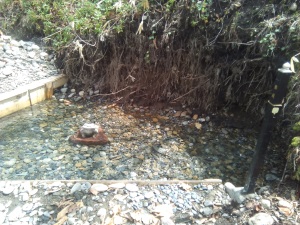 �T���V���E�E�I�Q