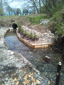 �T���V���E�E�I�Q