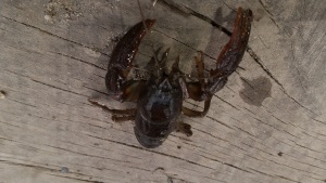 ��z���U���K�j�I�X