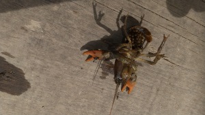 ��z���U���K�j���X